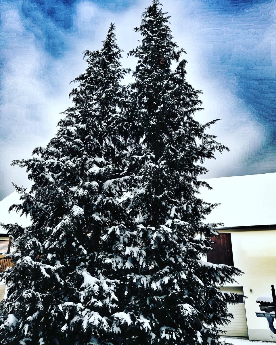 SimoneMoneD82's tweet photo. #snow #snowingermany https://t.co/uZBAsNCCDN