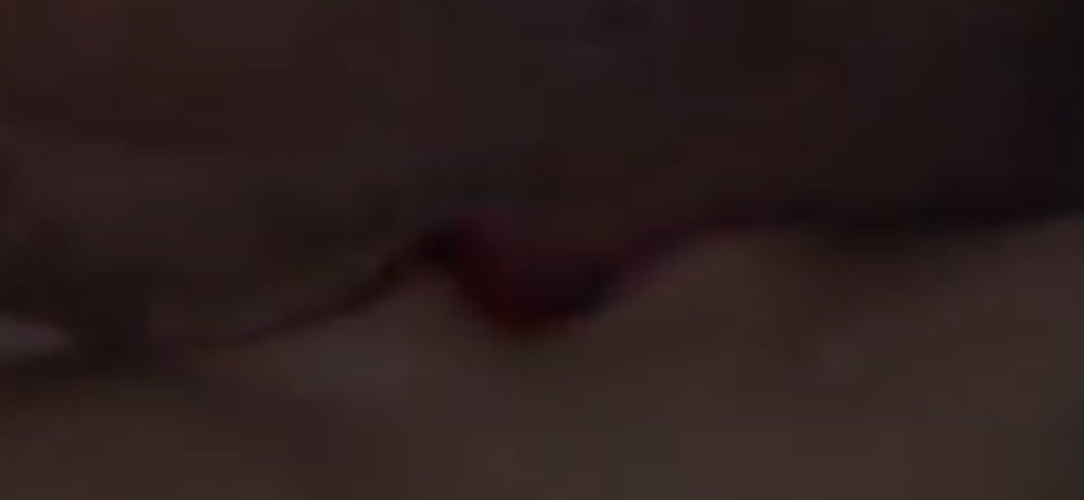 Benimle boyle 1 gun kalmak isteyen vrmi gencler🤭🤭😇😇