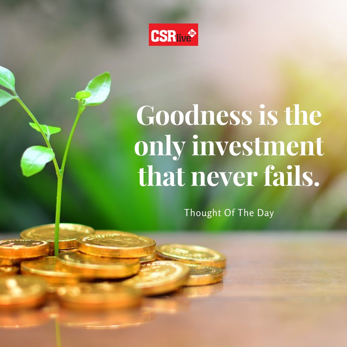 CSRlive_In's tweet photo. Tuesday Thoughts! @CSRlive_In
#csr #corporatesocialresponsibility #csract #amendments #government #india #corporate #nonprofit #nonprofitorganization #nonprofits #nonprofitlife #nonprofitsofinstagram #nonprofitwork #ngo #ngoindia #ngos #socialsector #civilsociety #development https://t.co/f0QaKdkRkt