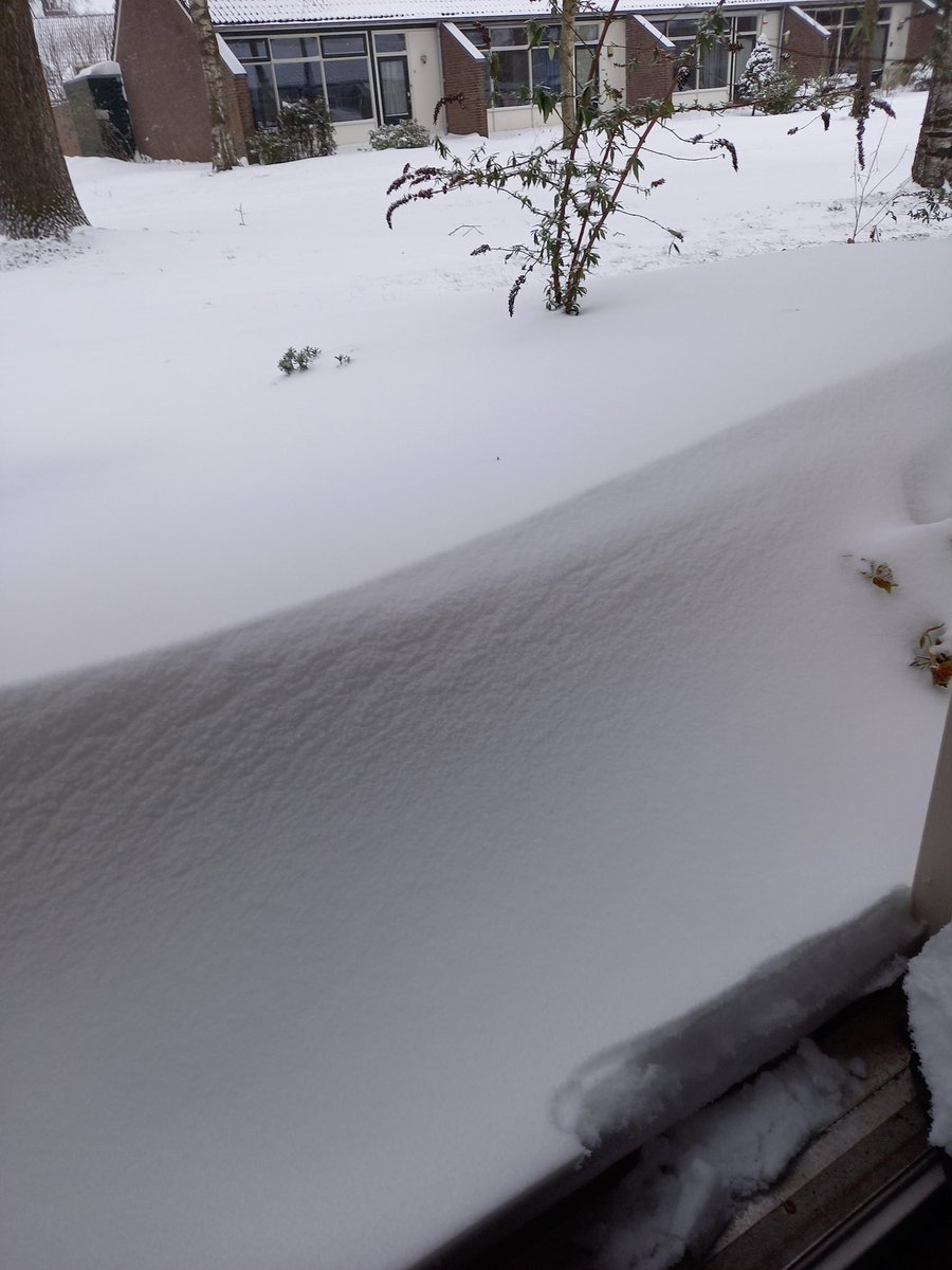 ⚘ÐЄRR￥⚘📚 tweet media