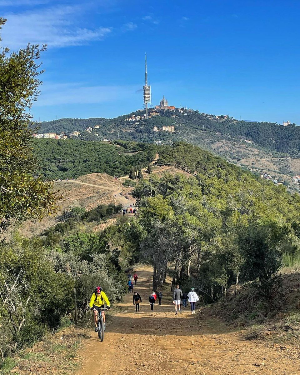 Inspira, expira... i gaudeix de tot el que et pot oferir el pulmó verd de la ciutat 🏞🌲💚 #visitbarcelona

📸 ©raisabate (IG)

#inLOVEwithBarcelona #inLOVEwithCatalonia