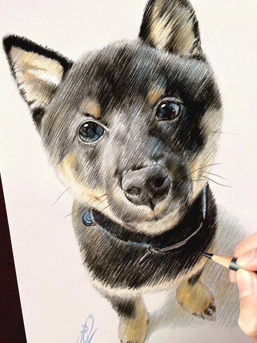 2時間スケッチ!
愛犬のオレオ先生描きました〜(   ◜▿◝ ) 