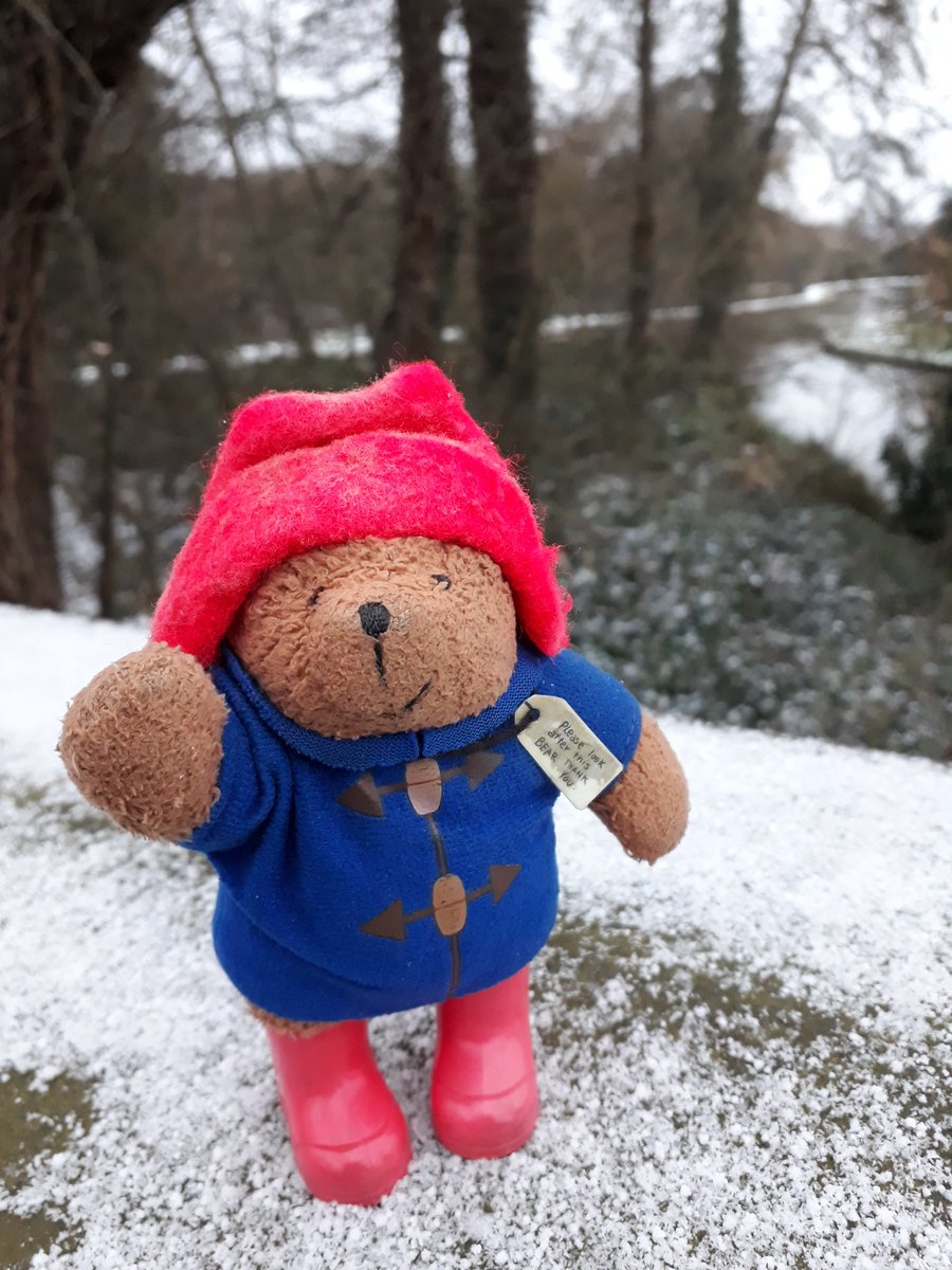 MrPB_Esq's tweet photo. It's a little bit snowy our Wey for our #GoWalkMrPB 🐾👣🐌❤ to work today 🌨
It's also very beautiful... 🐻❤❄🌊
Stay safe ❤
#MentalHealthMatters 💙 https://t.co/wsXzVKp9nW
