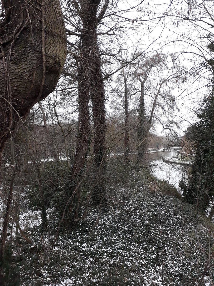 MrPB_Esq's tweet photo. It's a little bit snowy our Wey for our #GoWalkMrPB 🐾👣🐌❤ to work today 🌨
It's also very beautiful... 🐻❤❄🌊
Stay safe ❤
#MentalHealthMatters 💙 https://t.co/wsXzVKp9nW