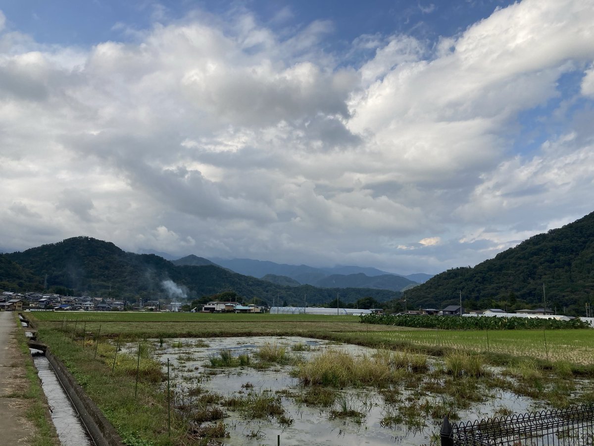huyukanonsub's tweet photo. 天気が良すぎてバイクで散歩 https://t.co/MgCR8kPZOw