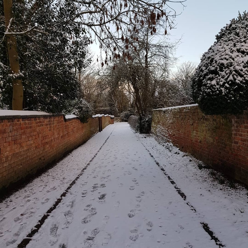 njhowell's tweet photo. A nice snowy walk this morning... https://t.co/YhkNZmhJIl https://t.co/o0JRxN5cn7