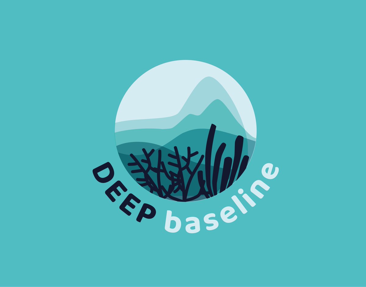 deepbaseline's tweet photo. “Tomorrow we launch the DEEPbaseline project website! Stay tuned!” @CiimarUp @ipma_pt @CESAM_Univ @AzoresDeepSea @OceanoAzulF 
#OceanConservationFund #oceanariodelisboa #OceanoAzulFoundation https://t.co/28qFUX7gcR