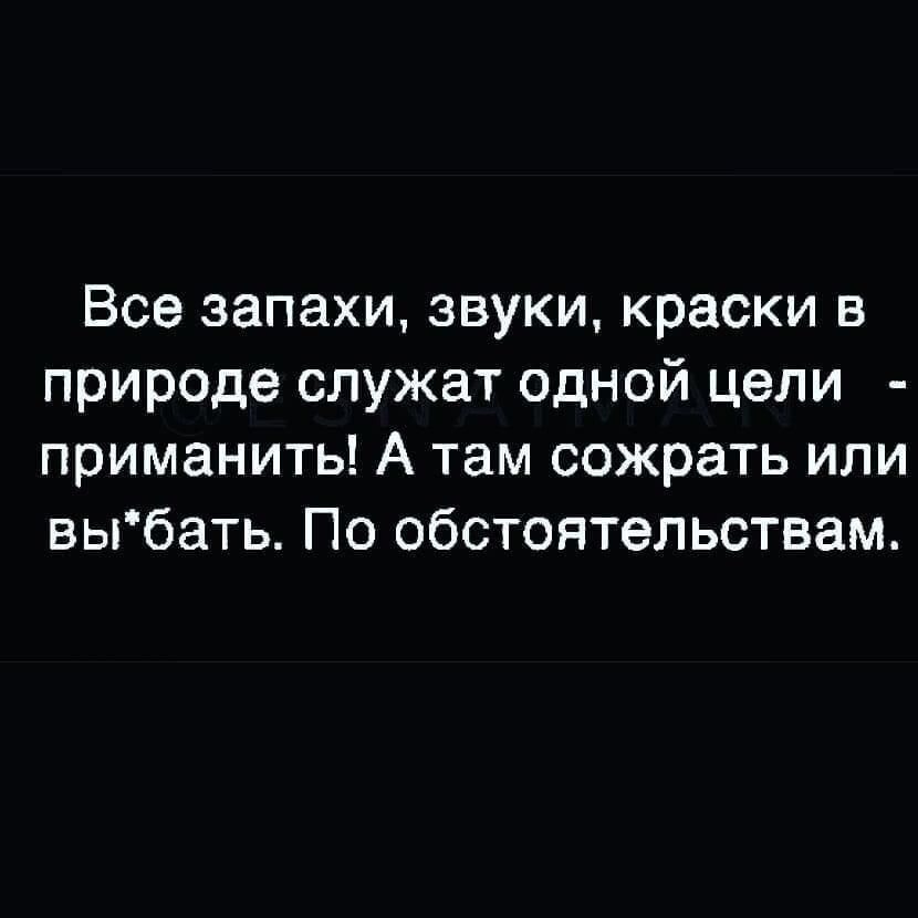 запахи и звуки. утонченные материи хороший вкус. стоматолог картинка со звуком. запах звучит. восприятие запахов.