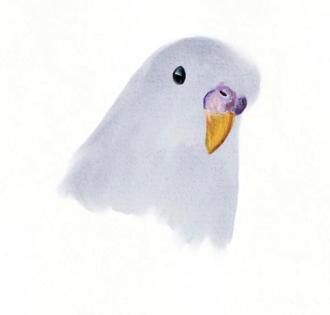 Starting another digital drawing, can you guess what this may be? #digital #digitalart #art #artist #petportrait #budgie #drawing #watercolour #handdrawn