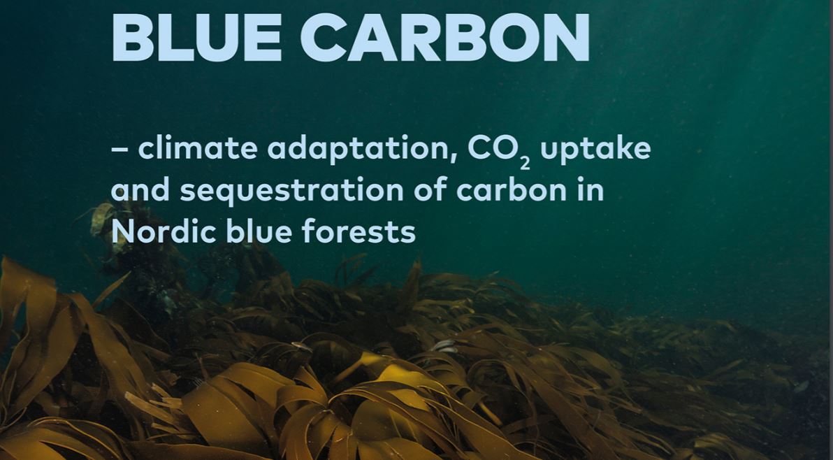 Hege Gundersen (@hgunda) on Twitter photo The report from our Nordic Blue Carbon project is finally out! <a href="/NIVAforskning/">NIVA</a>, <a href="/AarhusUni/">Aarhus Universitet</a>, #ÅboAkademiUniversity, <a href="/Havforskningen/">Havforskningsinstituttet</a>, 
<a href="/GRIDArendal/">GRID-Arendal</a> for <a href="/nordensk/">Nordisk Samarbejde</a>, diva-portal.org/smash/get/diva… The report from our Nordic Blue Carbon project is finally out! <a href="/NIVAforskning/">NIVA</a>, <a href="/AarhusUni/">Aarhus Universitet</a>, #ÅboAkademiUniversity, <a href="/Havforskningen/">Havforskningsinstituttet</a>, 
<a href="/GRIDArendal/">GRID-Arendal</a> for <a href="/nordensk/">Nordisk Samarbejde</a>, diva-portal.org/smash/get/diva…