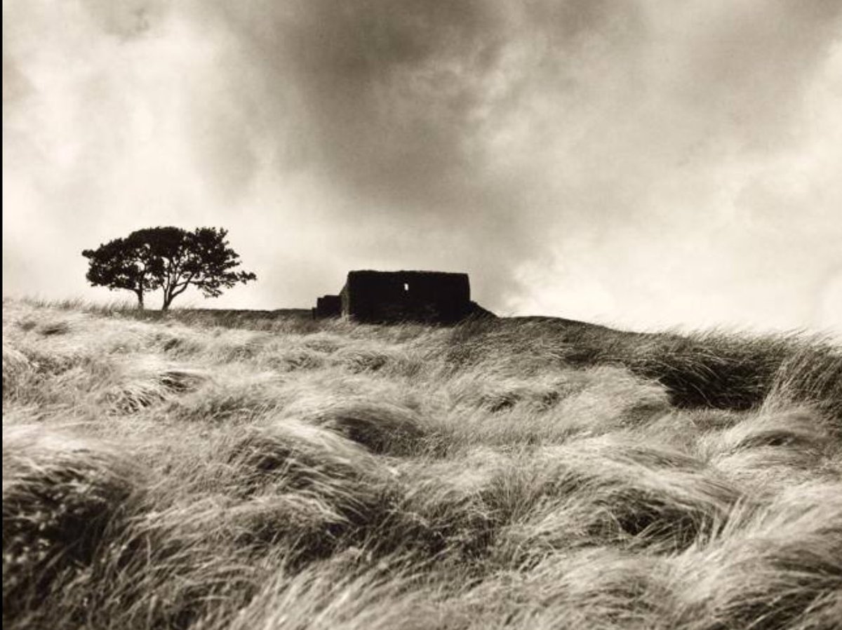 SalaLettura's tweet photo. Cime tempestose (1847) è un’opera, definita dalla critica”fra le più tumultuosamente romantiche di tutta la letteratura inglese"Il titolo originale è Wuthering,che indica il tumulto atmosferico cui è soggetta la casa degli Earnshaw. I paesaggi e la meteorologia sono esasperati🔽 https://t.co/f0MLl93jYI