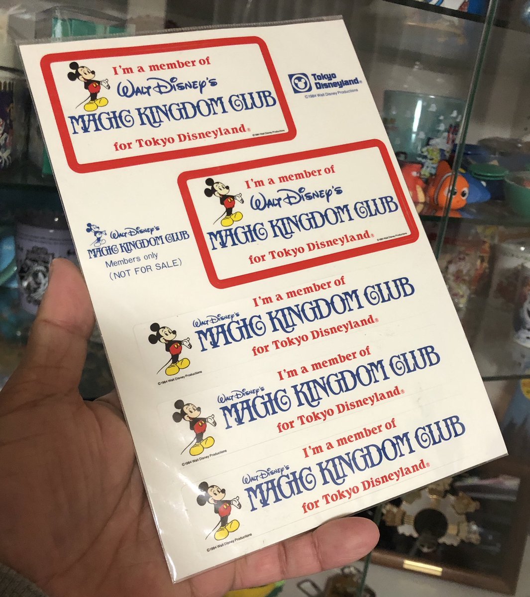 わっきー 会社の福利厚生としてのマジックキングダムクラブのシステムが無くなってから7 8年経つのかな マジックキングダムクラブ自体を知らない世代が段々と増えて来ますね