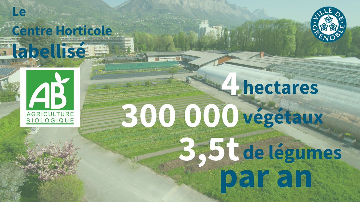 VilledeGrenoble's tweet photo. 🌿Les plants légumiers du Centre Horticole de #Grenoble sont désormais labellisés #AB🙌
Saviez-vous que les légumes qui y sont produits sont destinés au self municipal ?
👉Pour info, le centre est désormais ouvert au public le matin du Lundi au Vendredi ! https://t.co/idl4EEzox6