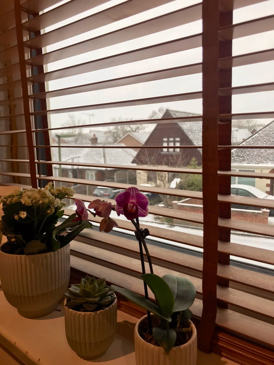 Lovely view of snow from the (home) studio window this morning. What have you done in lockdown? Comment below to hear during Jake Burke at Drive on Thursday! ❄️❄️❄️
#snow #radio #woking #surrey #community