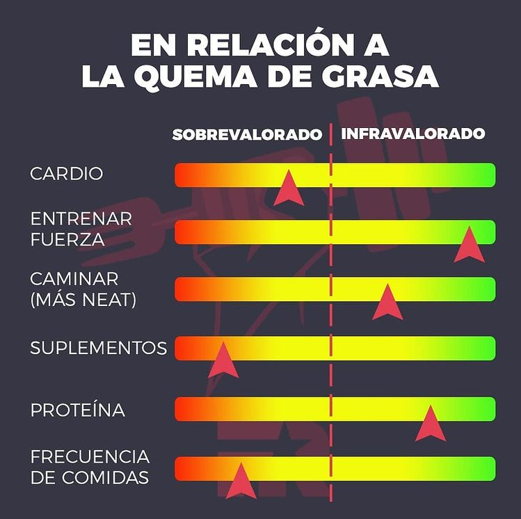 FITrebelde's tweet photo. Para hacer más eficiente la quema de grasa céntrate en lo más importante... https://t.co/zqN11sHrWa https://t.co/g7qZo4BATU