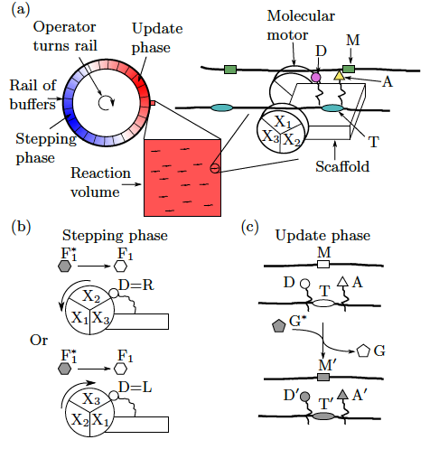 sys_sig's tweet photo. A new paper with Rory Brittain and Tom Ouldridge:
What would it take to build a thermodynamically reversible Universal Turing machine? 
https://t.co/0LXE5ZeTxw
We find a link between halting and energetic cost. https://t.co/WK6orZYMba