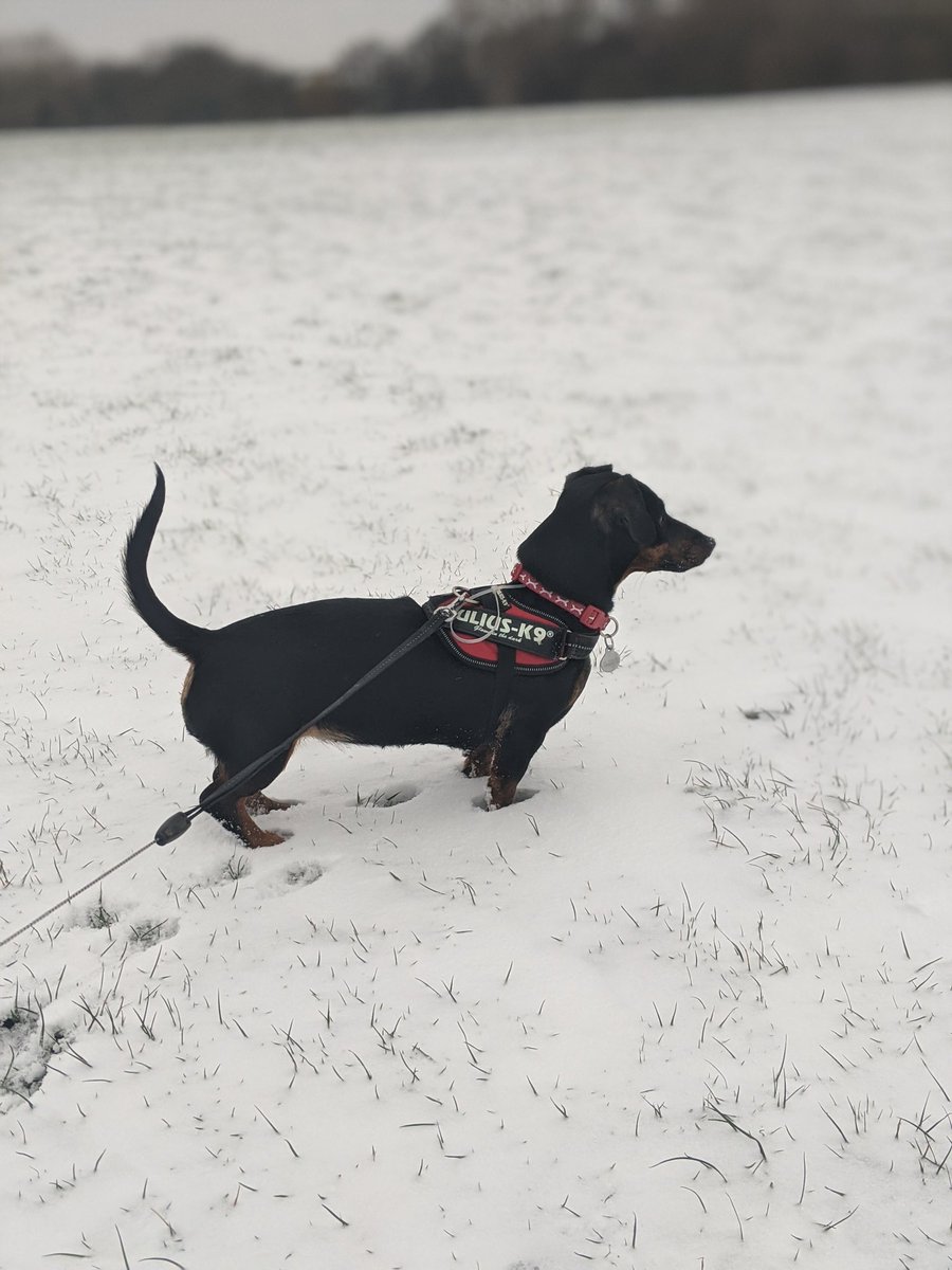 Ryan Waters tweet media