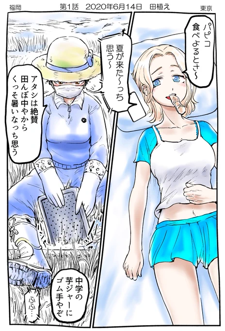 #これでフォロワーさん増えました 
都会×農家JKの休日?まとめ 