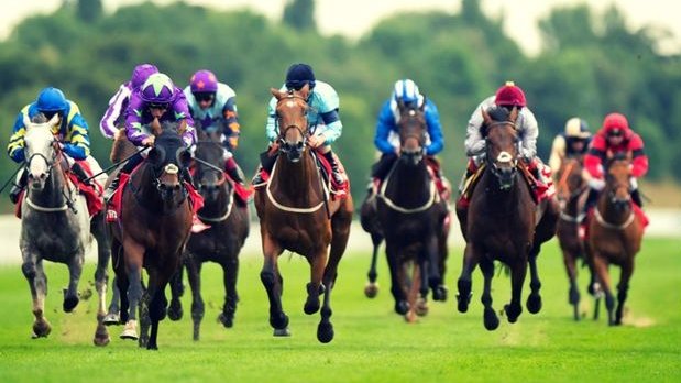 GoldchipUK's tweet photo. 🏇 Just the Two race meetings taking place this afternoon after Market Rasen &amp; Taunton fell foul to the weather ❄

🇬🇧 Kempton
🇬🇧 Southwell

#HorseRacing #Southwell #Kempton https://t.co/Dm7qaVq2Mo