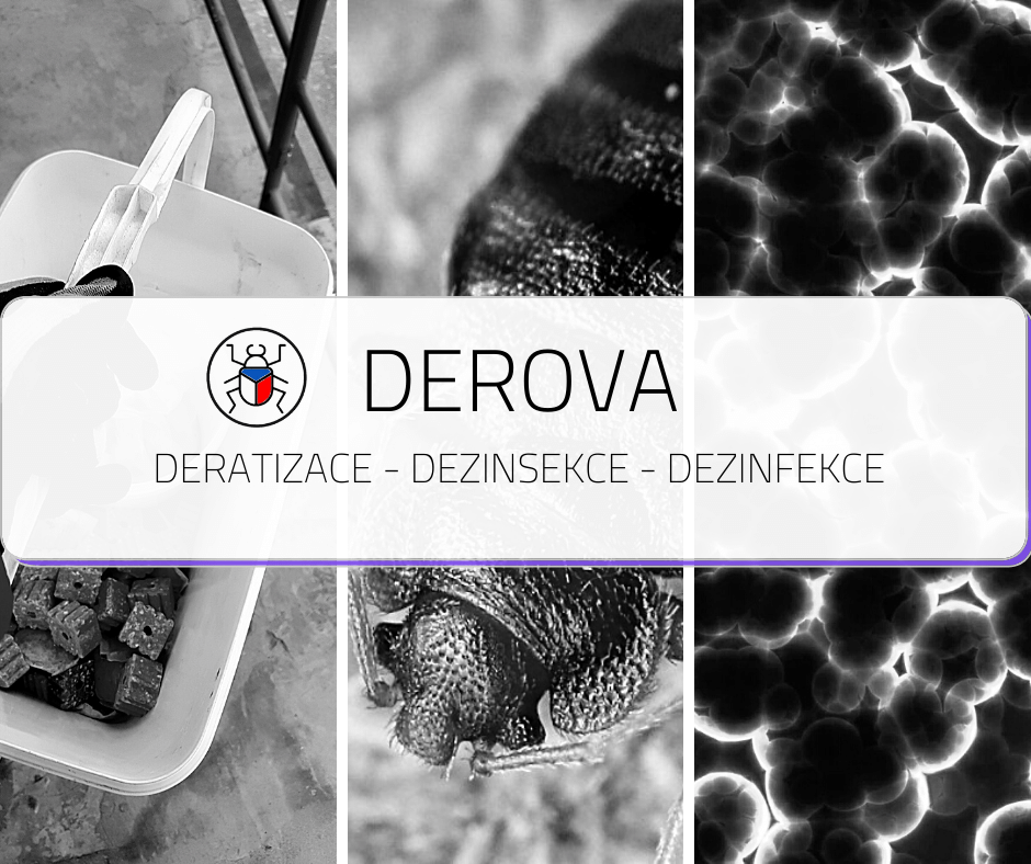 DEROVA4's tweet image. DEROVA s.r.o.
Slavíkova 6142/18d, Poruba, 708 00 Ostrava
IČ: 09849980