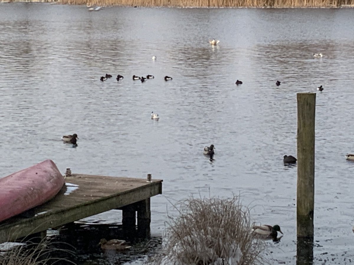 Nabij de Bonke: de actuele ijsdikte. Hilversum heeft de redens al onder!