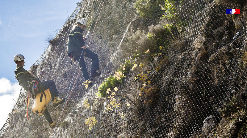 259 réserves biologiques couvrant 140 000 hectares, inventaires de 230 forestiers naturalistes, conservation d'arbres morts… Dans cet article long format, l'#ONF explique concrètemet ses actions pour protéger les #forêts et l'environnement. 
➡ onf.fr/onf/lonf-agit/…