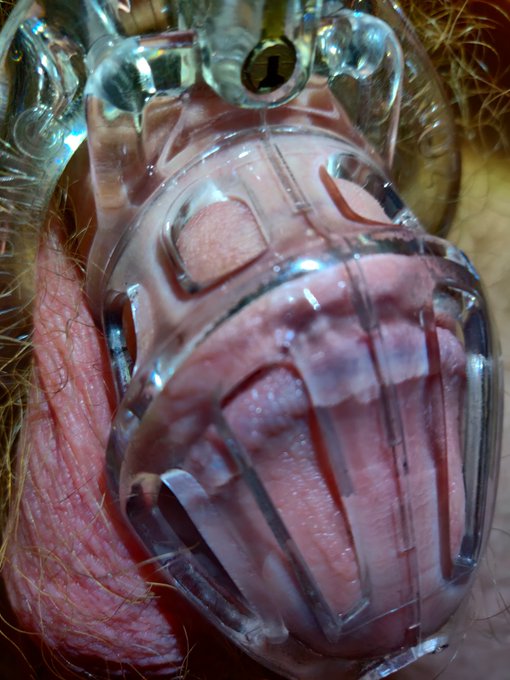 This cage is hard to conceal; leading me to take it off 28 hours later. 😟 But I still got some pictures<a href="/tag/balls"class="tags"><span>#balls</span></a><a href="/tag/cock"class="tags"><span>#cock</span></a><a href="/tag/cage"class="tags"><span>#cage</span></a><a href="/tag/chastity"class="tags"><span>#chastity</span></a><a href="/tag/dick"class="tags"><span>#dick</span></a><a href="/tag/amatuer"class="tags"><span>#amatuer</span></a>