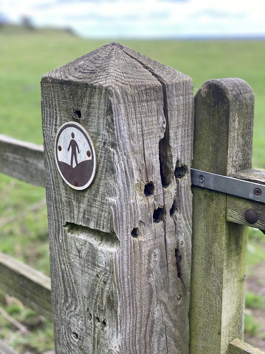 Burrough Hill tweet media