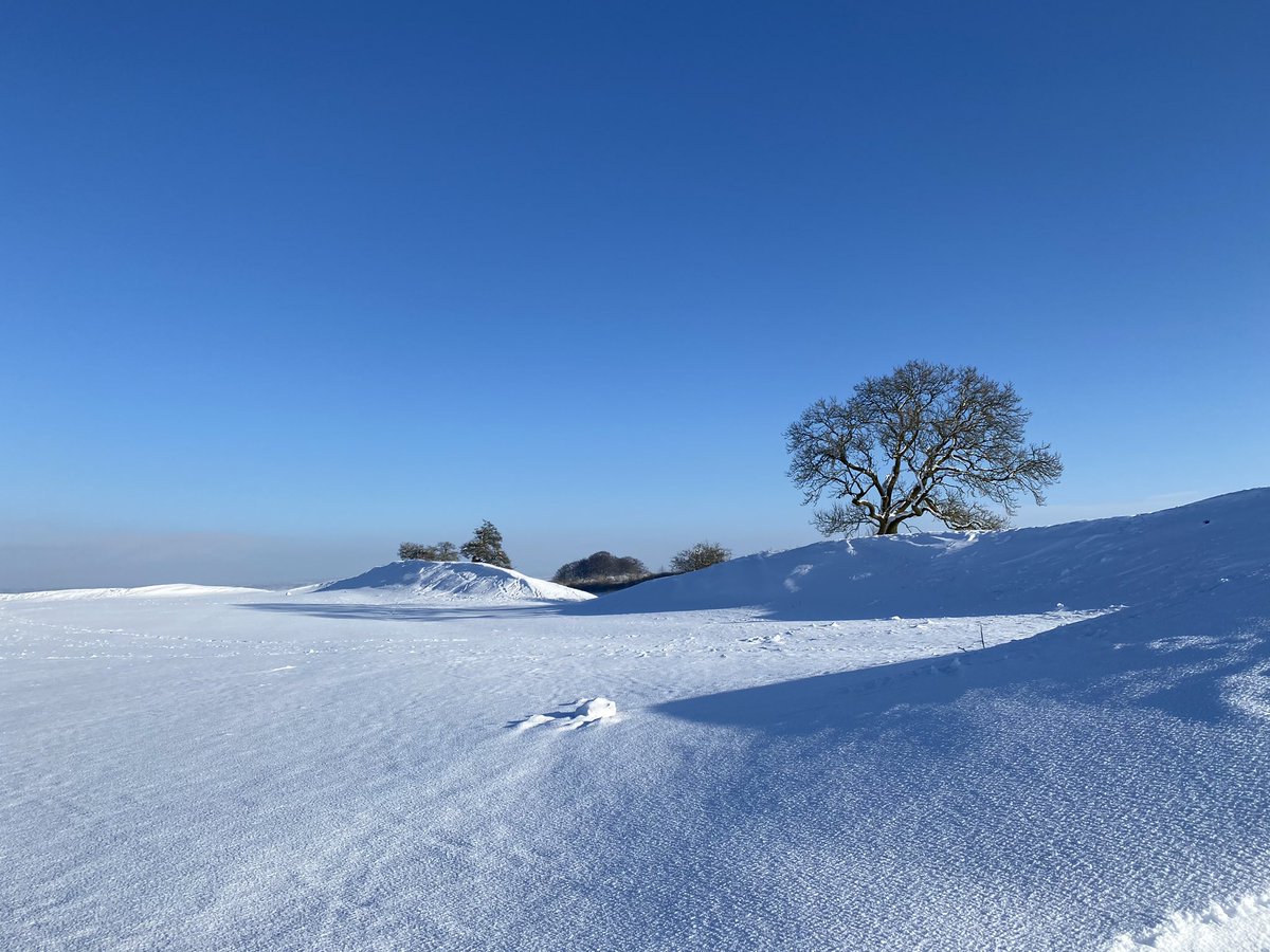 Burrough Hill tweet media