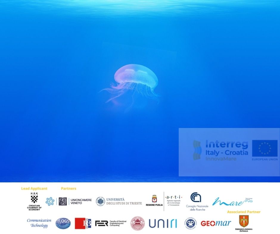 unioncamereVEN's tweet photo. 🔵🟡#BlueEconomy #BlueTechnologies per la sostenibilità del Mar Adriatico
Tavola rotonda online 18-19 febbraio con esperti europei per favorire il trasferimento di conoscenze e lo scambio di buone pratiche
@innovamare #Interreg
👉 https://t.co/2mq5rK69ku https://t.co/Y96d0BXLzu