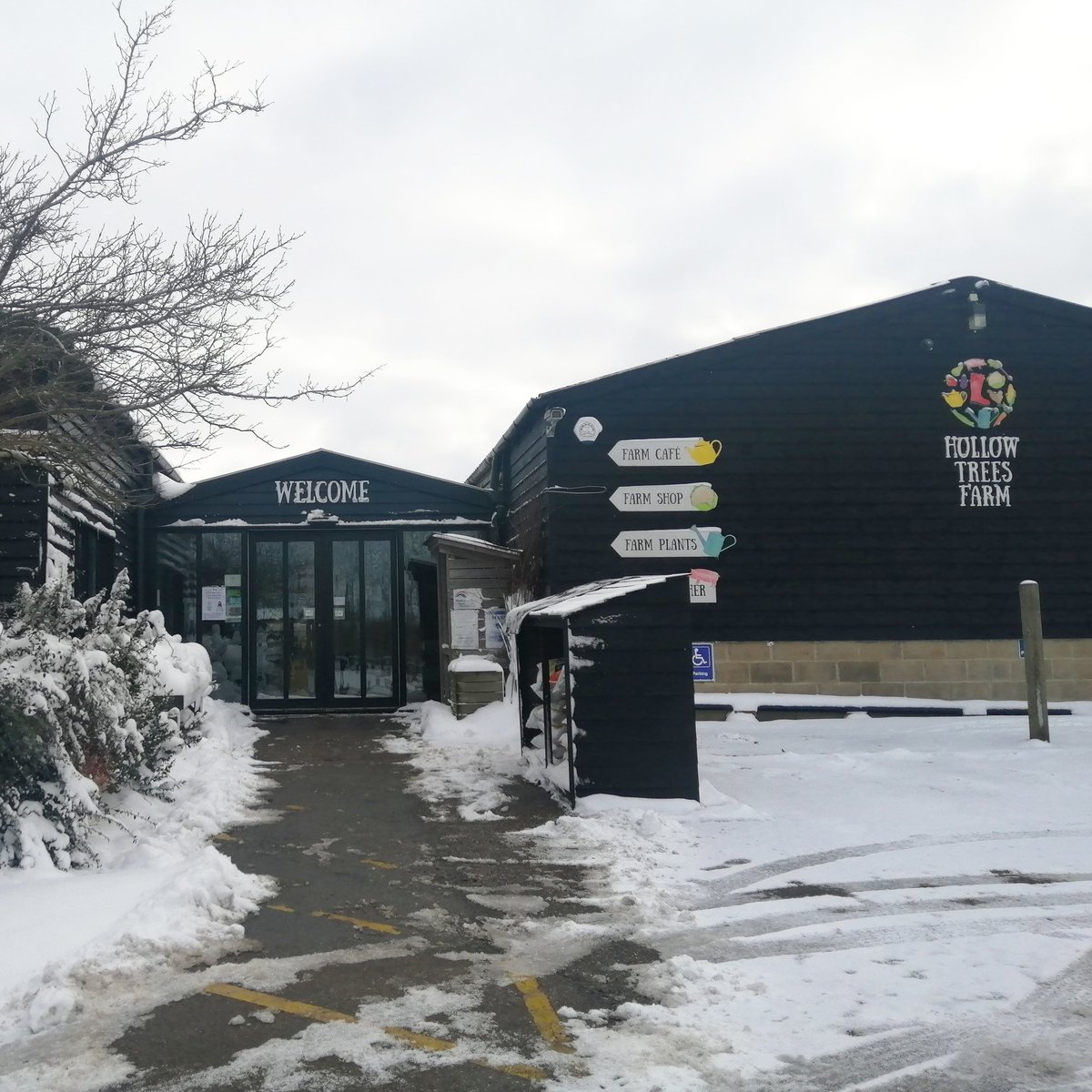 Hollow Trees Farm tweet media