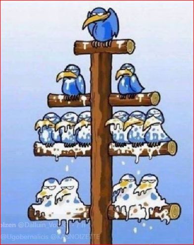 menalahy's tweet photo. @BFMTV Pour quel résultat ?
Et pendant ce temps, il y a :
➡️ 10 millions de Pauvres
➡️ des faillites en cascades
➡️ le chômage de masse
➡️ des Étudiants de plus en plus précaires.
Macron continue à engraisser ses amis même après la #SuppressionISF !
#Ruisellement à l'envers ! https://t.co/bEQ9hg7C0v