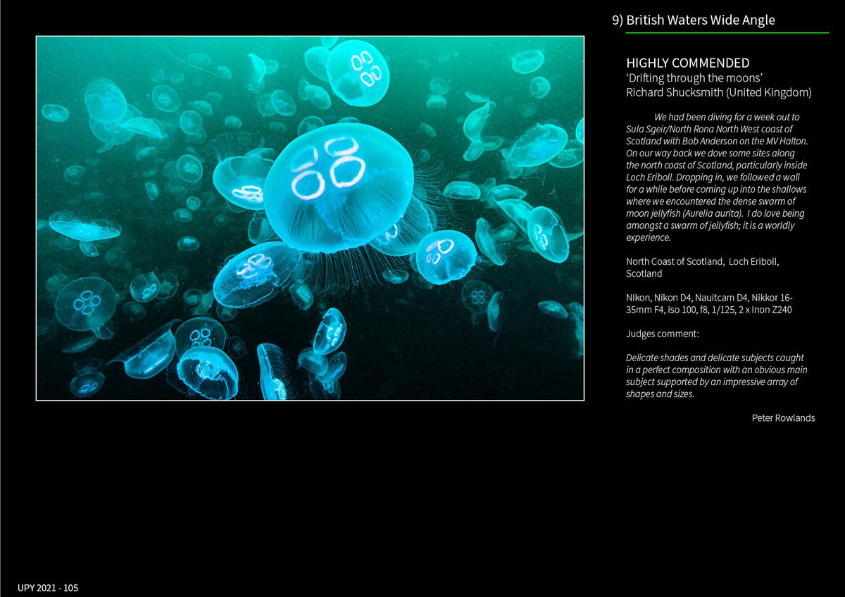 Great to have highly commended and a commended image in this year's Underwater Photographer of the Year 2021 #marinelife #Scotland