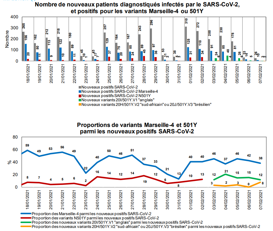 raoult_didier's tweet photo. Voici la mise à jour de la répartition des variants chez les patients diagnostiqués à l'@IHU_Marseille. 
Avec désormais une différenciation entre variant anglais (mutation N501Y) et variants sud-africains et brésiliens (mutations N501Y et E484K). https://t.co/pRh2u4rqtE