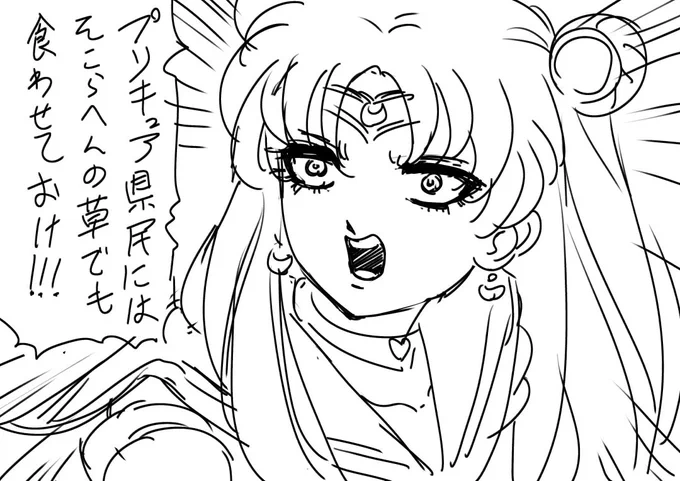 ものの数分のラクガキなので多少不本意ではあった #これでフォロワーさん増えました#sailormoonredraw 