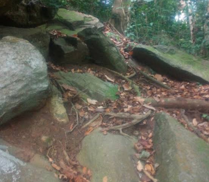 Igbo OlodumareIgbo Olodumare is famed to be home to demons,spirits and other supernatural beings located in Ondo State, tourists, adventurers are welcome to confirm this myth after all seeing is believing.