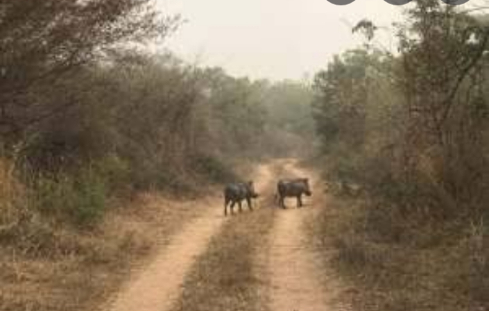 Igbo OlodumareIgbo Olodumare is famed to be home to demons,spirits and other supernatural beings located in Ondo State, tourists, adventurers are welcome to confirm this myth after all seeing is believing.