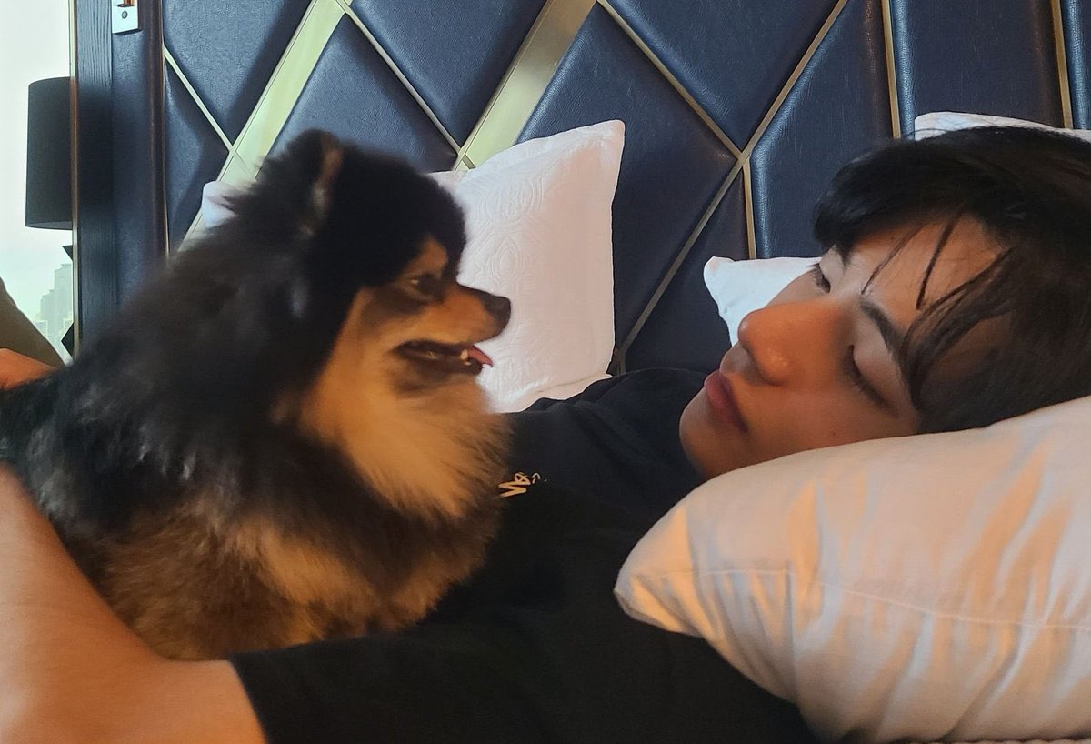 Шпиц ентан бтс. Таркхойн к1ентан жерочун к1ентан жумин акхтулин илли. Ентан. Ентан бтс. Шпиц тэхена ентан.