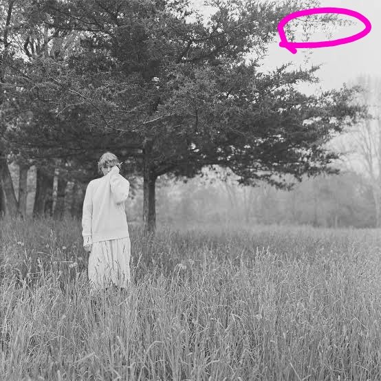 TS9 a brother album to folkore and evermore will be called Woodwale