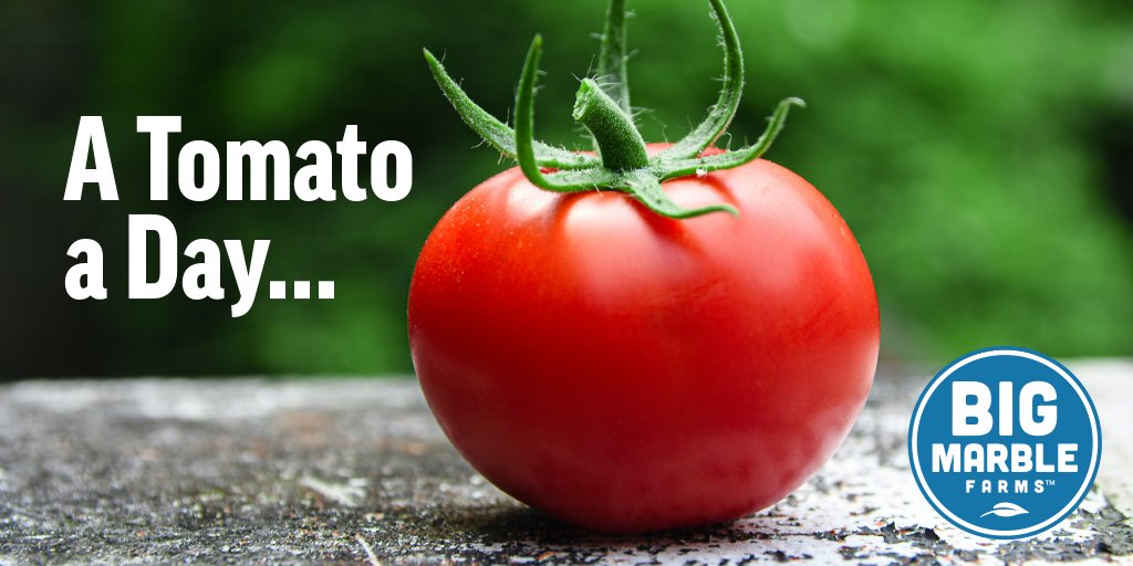 Big Marble Farms tweet media