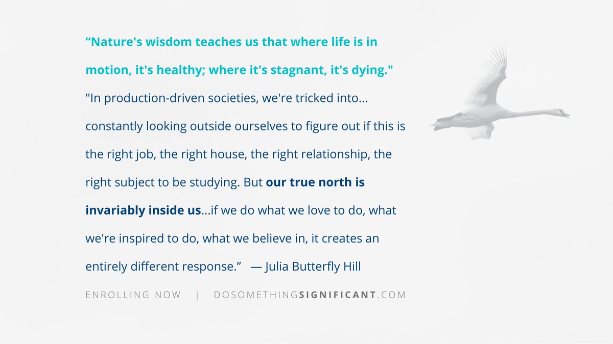 SignificanceLC's tweet photo. Your true north is inside...have you realized this? 
https://t.co/h86m2gBldZ

#inspiration #careerjourney #personaldevelopment #lifelonglearning #purpose #wisdom https://t.co/DJVNo0K60d