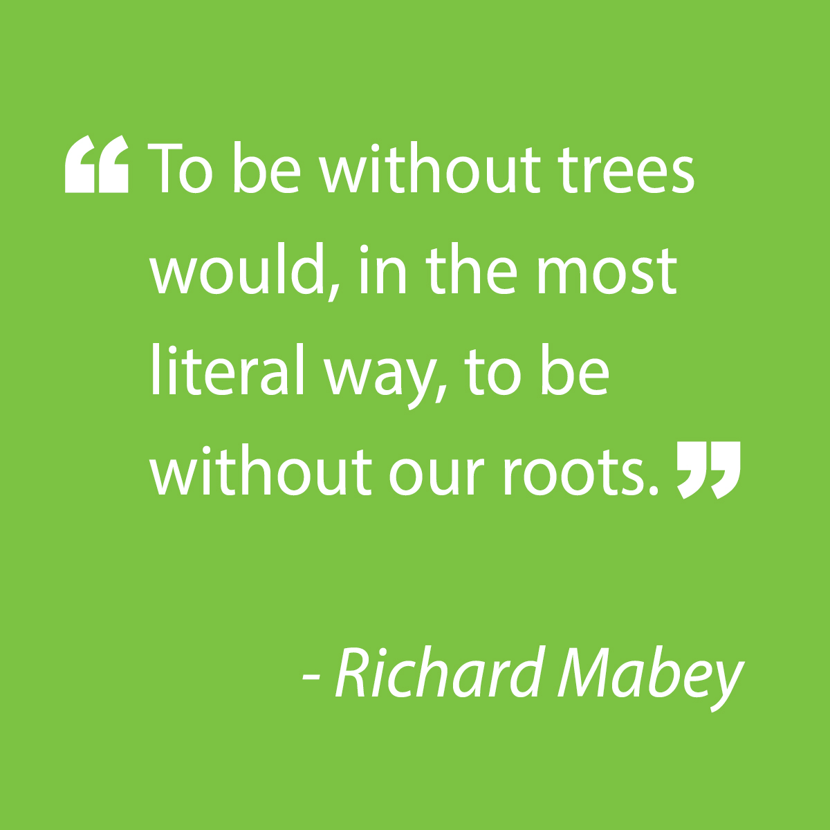 Safety is our number one priority. We care about trees and we care about you.
<a href="/samhilltreecare/">Sam Hill Tree Care</a> #treecare #dallastree #gardening #landscape #dallaslandscape #fertilizing