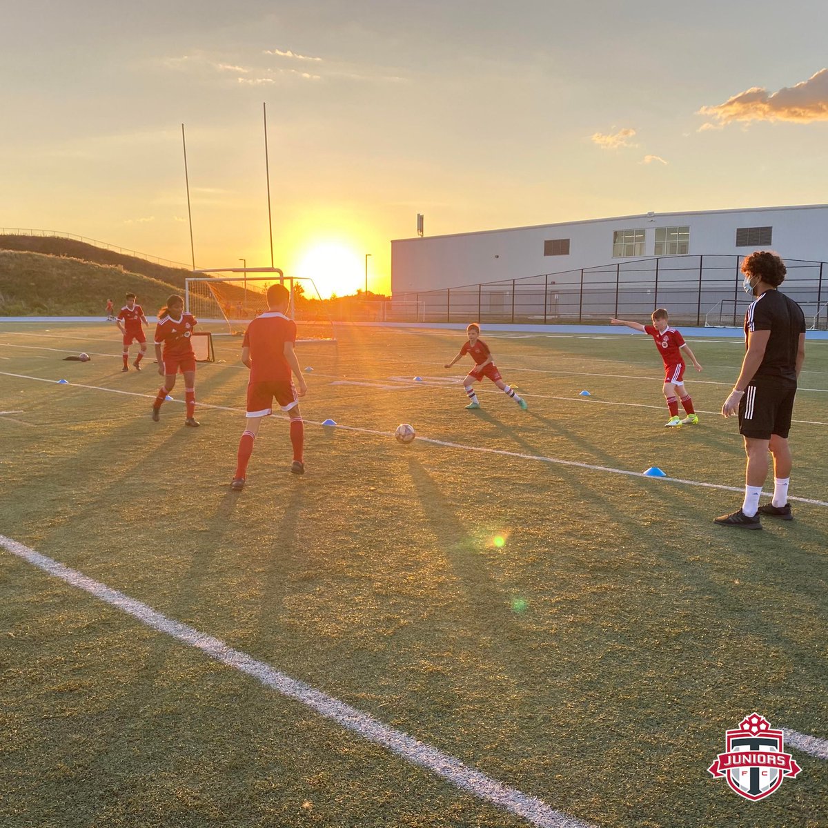 Toronto FC Juniors tweet media