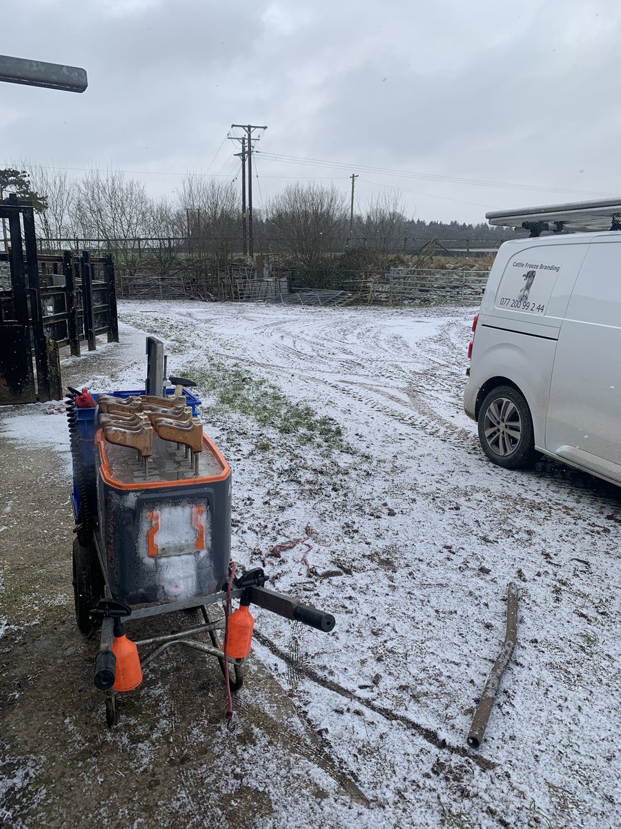 Hoofman2's tweet photo. Not the warmest of jobs to be on today❄️❄️ https://t.co/98bTX2mFeD