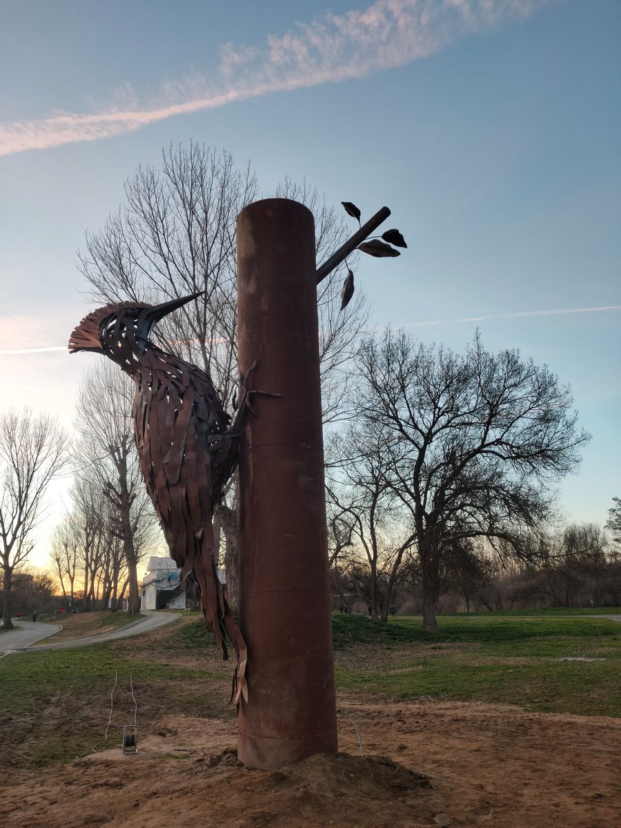 Raúl de Tapia Martin (@alcanduerca) on Twitter photo El ARTE CONSERVA la BIODIVERSIDAD.
La provocación emocional de la escultura engendra fidelidad con la preservación de nuestras aves.
ArteyNaturaleza en la XVI Edición de la Feria International de Ornitología EXTREMADURA
(Arte Emboscado <a href="/TormesEB/">Fundación Tormes-EB</a>)
<a href="/BosqueHabitado/">El Bosque Habitado</a> <a href="/parquemetminvu/">Parquemet</a> El ARTE CONSERVA la BIODIVERSIDAD.
La provocación emocional de la escultura engendra fidelidad con la preservación de nuestras aves.
ArteyNaturaleza en la XVI Edición de la Feria International de Ornitología EXTREMADURA
(Arte Emboscado <a href="/TormesEB/">Fundación Tormes-EB</a>)
<a href="/BosqueHabitado/">El Bosque Habitado</a> <a href="/parquemetminvu/">Parquemet</a>