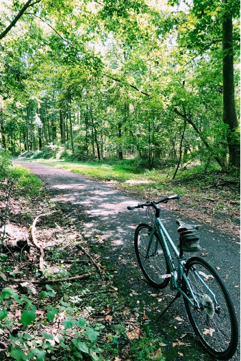 WolberSarah's tweet photo. Peer Health Partner, @annikurban: I support my emotional and mental health by running or exercising every day.  For me, running is a high flow activity – it is a good balance between challenge and skill, and is an activity which helps me to flourish.  @emorycshh #flourishing https://t.co/fv3pSo0Rva