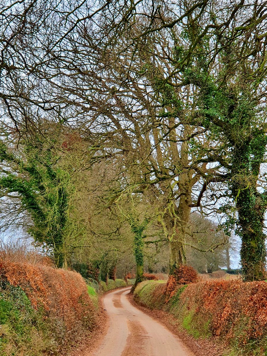 Exeter & District Ramblers tweet media