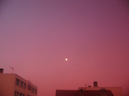 2229 @jeongwoosudjaab