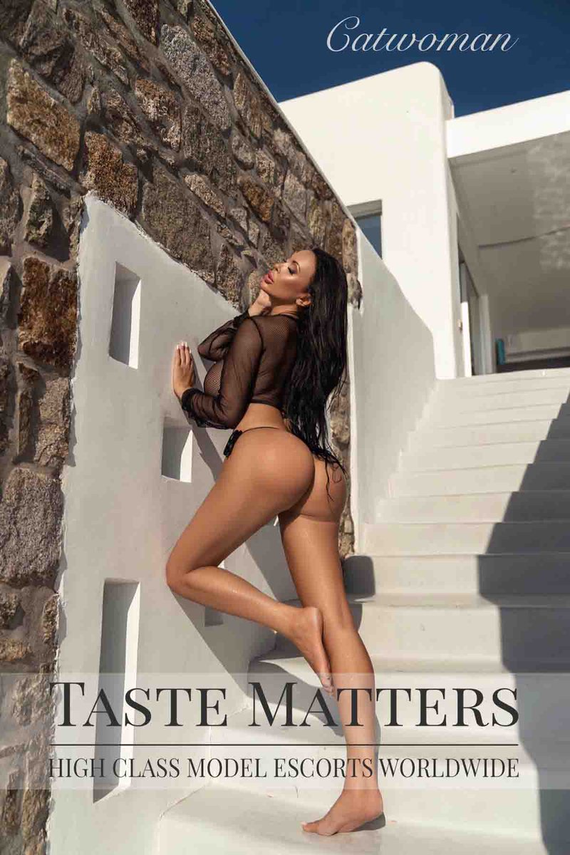 VivDutchess's tweet photo. Introducing our new gorgeous model Catwoman

#dubaimodel
#frenchlady
#highclasscompanion

Your taste is our matter ✨

Subscribe to our mailinglist, link in bio! 
For bookings &amp; inquiries contact us 
+31610892027 https://t.co/ZgLHcxC9JI