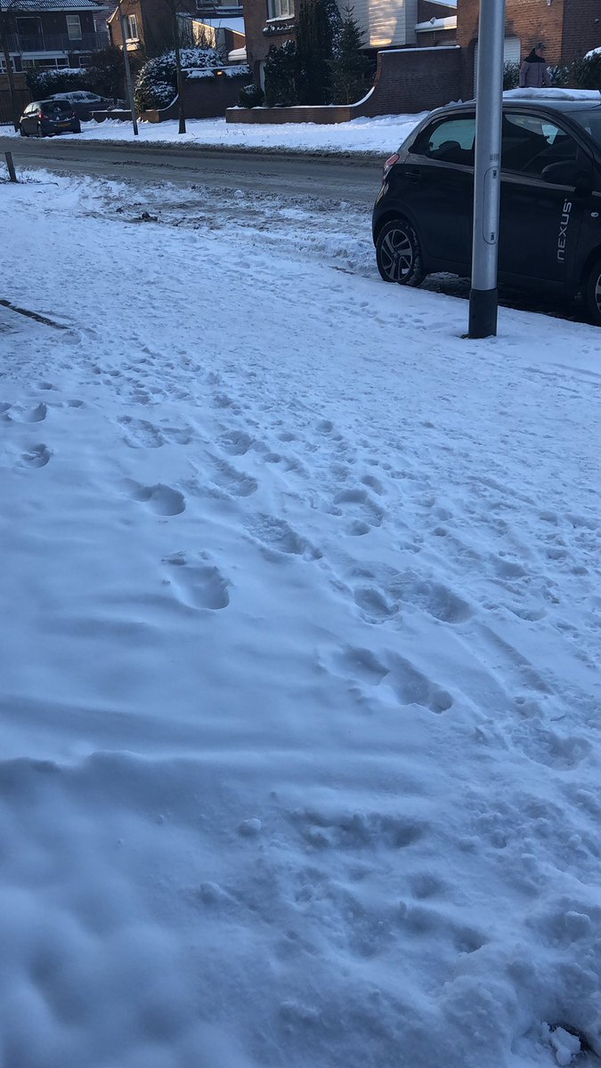 herma_steunkous's tweet photo. i love snow ❄️☃️#sneeuw #koud #lekker #spelenindesneeuw https://t.co/GWyKg0BZuM